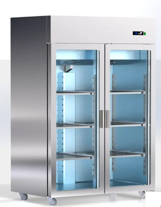 Armadio Inox Doppia Porta – Linea Gastro GN 2/1